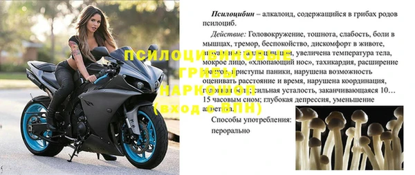 кокс Липки
