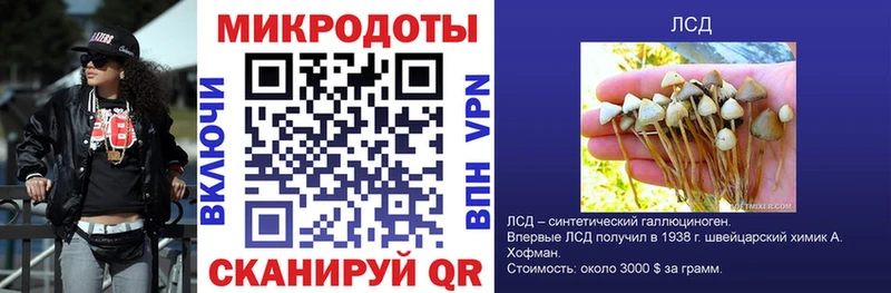 Галлюциногенные грибы прущие грибы Краснодар