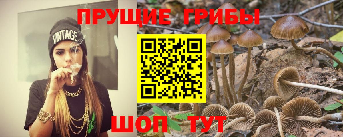 Краснодар  Галлюциногенные грибы MAGIC MUSHROOMS  Вход с VPN 